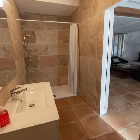 Hibiscus House * Каркассон